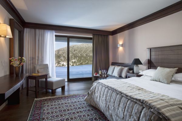 Hotel Grand Forest Metsovo